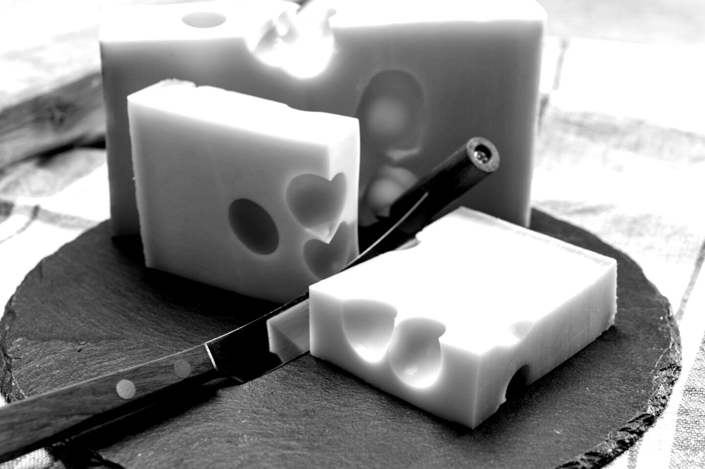 ZENK Rechtsanwälte Partnerschaft mbB | Kein Markenschutz für „Emmentaler“